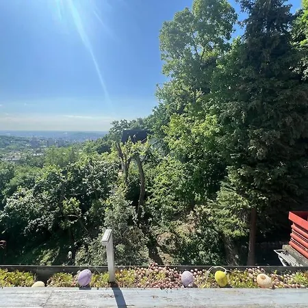 Hillside *